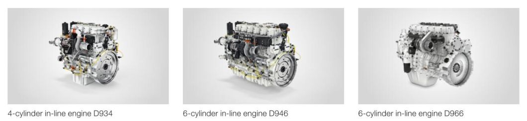 D946 Engine Spare Parts 10282851 10282850 10282852 Piston Ring for Liebherr Excavator Diesel Engine D946 OEM and Original